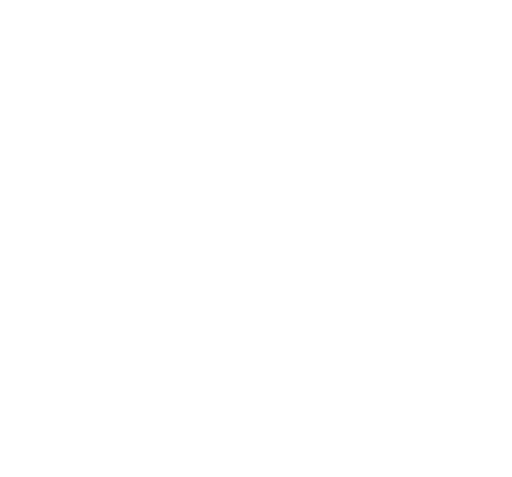 Alect Safety