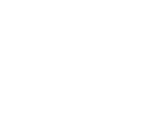 Alect Safety